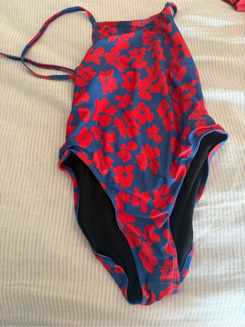 Jolyn Clothing Blue One-Piece Swimsuit with Red Floral Print
